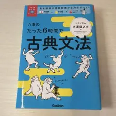 八澤のたった6時間で古典文法