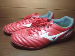 モナルシーダネオ3