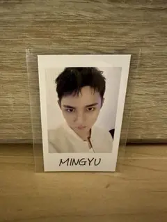 SEVENTEEN ミンギュ インスタントフォト Follow イルコン