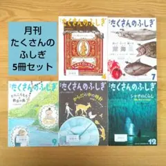 月刊 たくさんのふしぎ 5冊セット 福音館書店 チョコ 魚 時計 シャチ