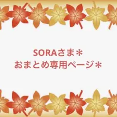 SORAさま＊おまとめ専用ページ