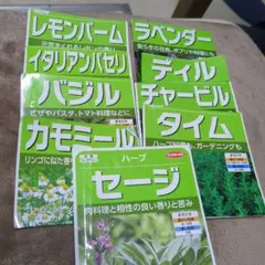 ハーブの種　9種類　　家庭菜園　セージのサムネイル