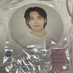 SEVENTEEN JEONG HAN carat land 2023 うちわ