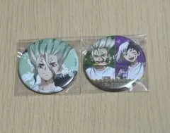 Dr.STONE ぷちくじ B賞 缶バッジ 石神千空 あさぎりゲン