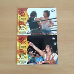 BBM 95 大仁田厚 プロレスカード 2枚セット