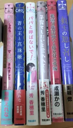 Gセット bl小説まとめ売り 6冊 新書サイズ