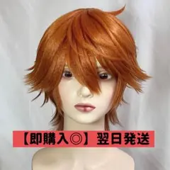つ*7様 NICI ニキ WF35 パンサー ジェローム クラシックぬいぐるみ