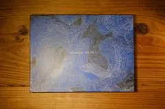 魚韻 834.194 （完全生產限定盤A：Blu-ray附）