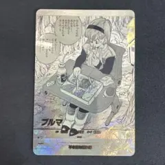 しんパパ様専用 アドバンスパック APT-018 ブルマ - メルカリ