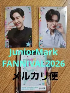 kanosuke_1230様 リクエスト 2点 まとめ商品