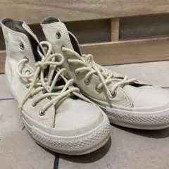 Item thumbnail for item 1fbca915-4b16-4372-973d-9f0d428c5918