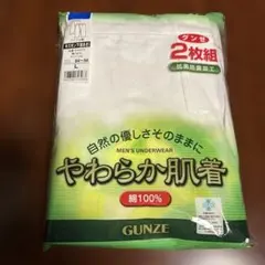 GUNZE やわらか肌着 半ズボン下 L 2枚組 綿100%