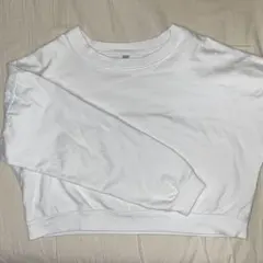 Item thumbnail for item 8d3b0e48-4819-41b1-be1d-2420aa4e7bd0