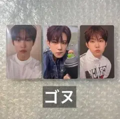 ALPHA DRIVE ONE ゴヌ トレカ まとめ売り