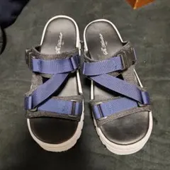 Item thumbnail for item 8649a1bd-00bf-4d95-82f2-baed04d6d49f