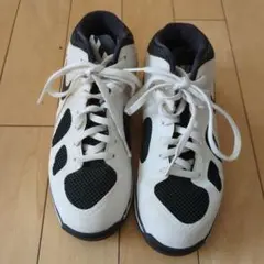 キッズNIKEシューズ21cm