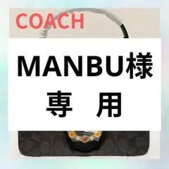 【希少・新品】COACH/コーチ コートニー トップハンドルバッグ CCE22