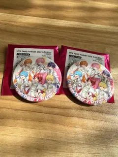 STPR すとぷり　缶バッジ すとふぇす