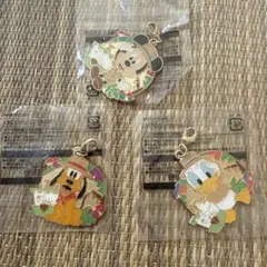 ディズニーランド　ジャングルカーニバル　ピンバッジ　チャーム