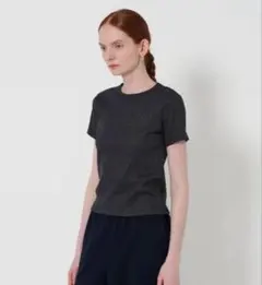 スティーブンアラン/Steven alan ラメ　テレコ　Tシャツのサムネイル