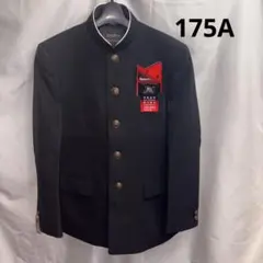 Item thumbnail for item cfb62215-7ef2-4e1b-9473-a9ef19c2f5e7