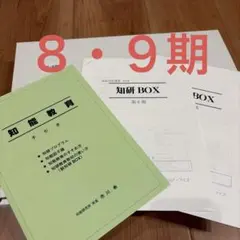知研プログラム 教えてあげよう チャイルドアイズ 年中向け 知能研究所