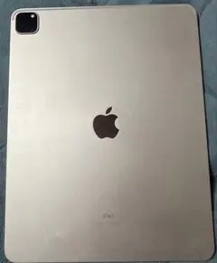 か*ん様 iPad Pro 第5世代 (12.9インチ)