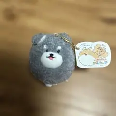 しっぽぶんぶん！わんわんず　シュナウザー ぬいぐるみマスコット