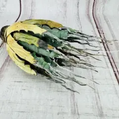 2026年最新】エボリスピナ 現地の人気アイテム - メルカリ