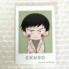 エクボ　ミックスガーデン