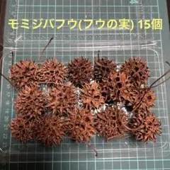 モミジバフウ(フウの実) 15個/ハンドメイド・工作・リース等に！