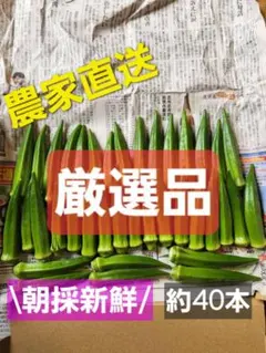 【朝採り新鮮】有機栽培オクラ(М・Lサイズ)　鹿児島県指宿産　厳選逸品のサムネイル