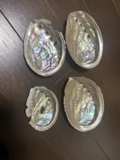 天然　アワビの殻　4個セット　工作　手芸　ハンドメイド