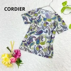 美品✨CORDIER 半袖　カットソー ペイズリー　透け感　花柄　M