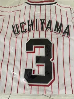 東京ヤクルトスワローズ 畠山和洋 プロコレユニフォーム 2XOサイズ 未