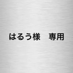 【はるう様　専用】