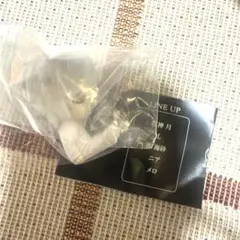 Item thumbnail for item f28cb6ff-6414-41e9-bb1a-adc0e49af00a