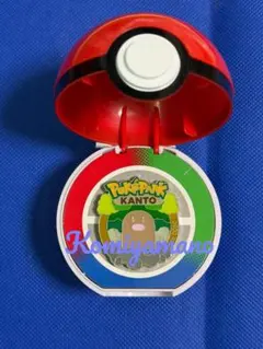 ポケパーク カントー 限定 ウィンディ ピンバッジ - メルカリ
