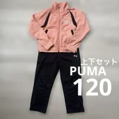 PUMA 120 ジャージ 上下セット トレーニングウェア 女の子 男の子