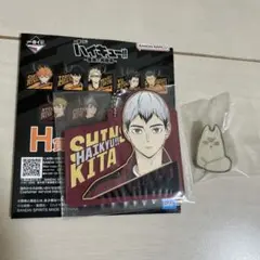 ハイキュー!!　北信介　セット