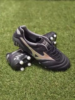 2025年最新】モレリアdnaの人気アイテム - メルカリ