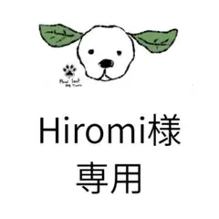 Hiromi様 リクエスト 3点 まとめ商品