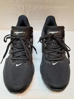 Nike Pegasus 42 ブラック/ホワイト