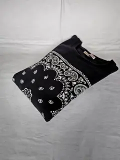 Item thumbnail for item 11241880-d5b3-4d45-9998-ca38db4b16dc