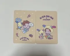 NCT サンリオ ランダム トレカ ジェミン ウサハナ