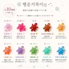 【匿名配送】幸運のカメ 행운거북이 10個セット デコパーツ