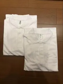 グリマー　ドライ 長袖ポロシャツ ポケ付 2枚組 ホワイト M