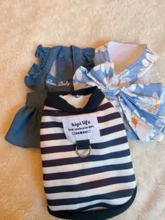 Item thumbnail for item a4d1f3a4-f38d-4203-837c-a29ef127c974