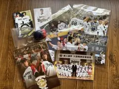 【非売品】オリックスバファローズ　 ポストカード　キーホルダー