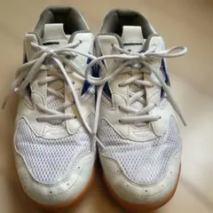 Item thumbnail for item d21a2701-99df-4633-a242-444b03305a35